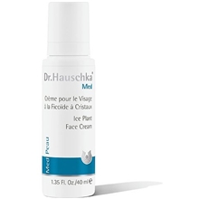 Ice Plant Face Cream 40 ml