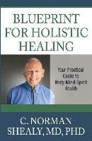 Blueprint for Holsitic Healing