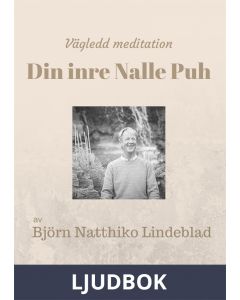 Din inre Nalle Puh, Ljudbok