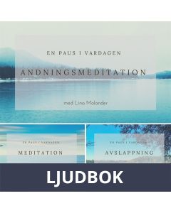 En paus i vardagen, Ljudbok