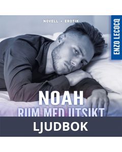 Rum med utsikt, Ljudbok