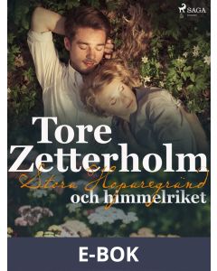 Stora Hoparegränd och himmelriket, E-bok