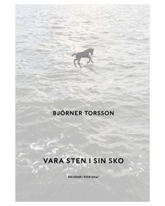 Vara sten i sin sko