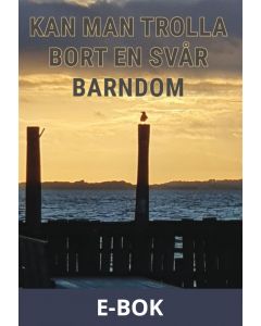 Kan man trolla bort en svår barndom, E-bok