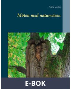 Möten med naturväsen: Naturens intelligenser bjuder in till samtal, E-bok