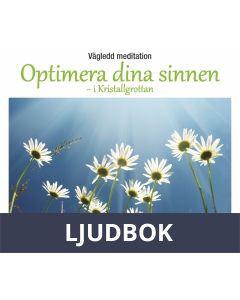 Vägledd meditation: Optimera dina sinnen, Ljudbok