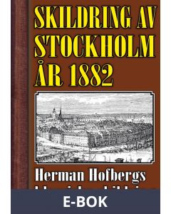 Skildring av Stockholm 1882, E-bok