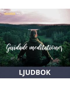 Självobservation, Ljudbok