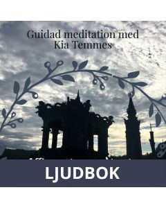 Affirmationsmeditation, Ljudbok