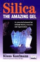 Silica: the Amazing Gel