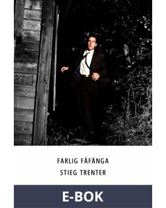 Farlig fåfänga, E-bok
