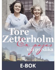 En pajas vill predika, E-bok