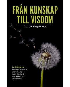 Från kunskap till visdom