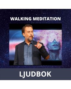 Walking Meditation- 7 olika medvetenhetsnivåer i följd under en 7 dagars period, Ljudbok
