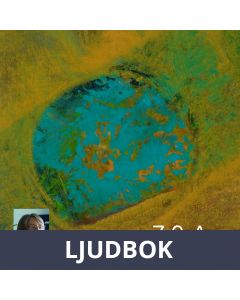 Z 2 A, Ljudbok