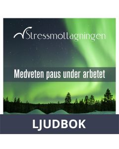 Medveten paus under arbetet, Ljudbok