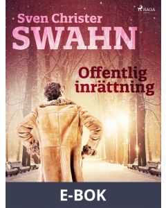 Offentlig inrättning, E-bok