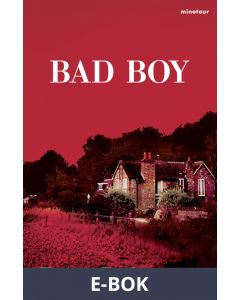 Bad boy, E-bok
