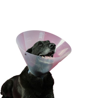 Elizabethan Hundhalsband KVP Betsy (27-31 cm)