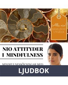 SAMLINGSUTGÅVA: Nio attityder i mindfulness av Candra Karlholm, Ljudbok