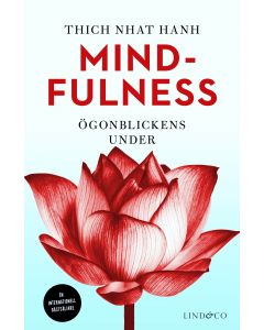 Mindfulness : ögonblickens under