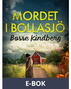 Mordet i Bollasjö, E-bok