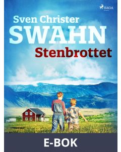 Stenbrottet, E-bok