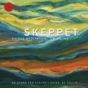 Skeppet : guidad meditation om viljan
