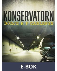 Konservatorn, E-bok