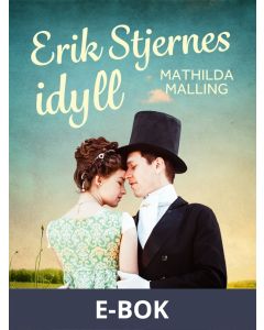 Erik Stjernes idyll, E-bok