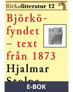 Björkö-fyndet. Birkalitteratur nr 12. Återutgivning av nyhetsartiklar från 1873, E-bok