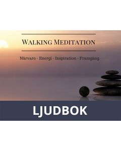 Walking Meditation - Närvaro - energi - inspiration - framgång, Ljudbok