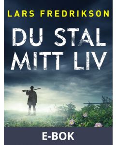 Du stal mitt liv, E-bok
