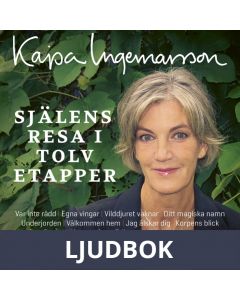 Själens resa i 12 etapper - Guidade musikaliska meditationer, Ljudbok