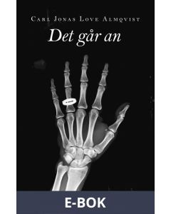 Det går an, E-bok