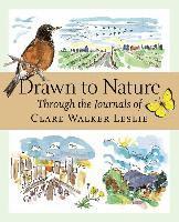 Drawn To Nature Through The Journals Of Clare Walker Leslie