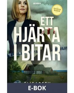 Ett hjärta i bitar, E-bok