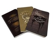 Harry Potter: Diagon Alley Pocket Notebook Collection (Set of 3)