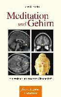 Meditation und Gehirn