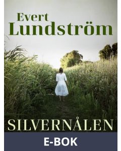 Silvernålen, E-bok
