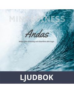 Andas, Ljudbok