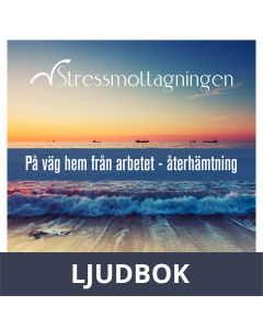 På väg hem från arbetet - Återhämtning, Ljudbok