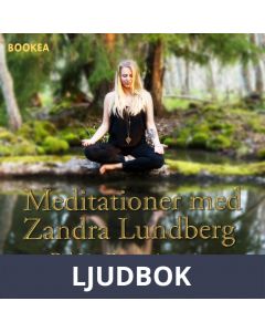 Dagens intention, Ljudbok