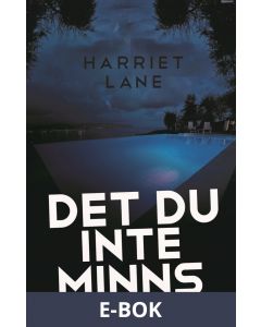 Det du inte minns, E-bok