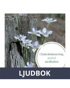 Chakrabalansering, Ljudbok