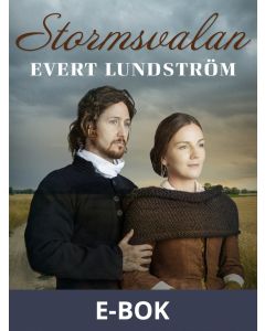 Stormsvalan, E-bok