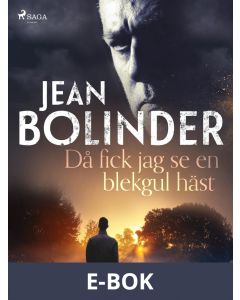 Då fick jag se en blekgul häst, E-bok