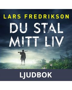 Du stal mitt liv, Ljudbok