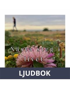 Nästa steg i livet - guidad meditation, Ljudbok
