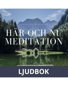 Meditation - Här och nu , Ljudbok